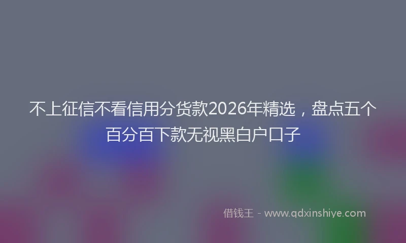 不上征信不看信用分货款2026年精选，盘点五个百分百下款无视黑白户口子