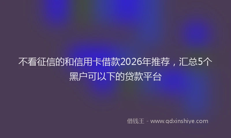 不看征信的和信用卡借款2026年推荐，汇总5个黑户可以下的贷款平台