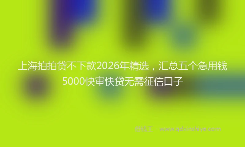 上海拍拍贷不下款2026年精选，汇总五个急用钱5000快审快贷无需征信口子