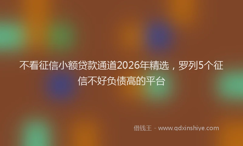 不看征信小额贷款通道2026年精选，罗列5个征信不好负债高的平台