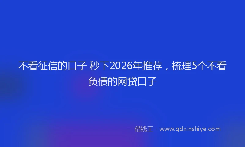 不看征信的口子 秒下2026年推荐，梳理5个不看负债的网贷口子