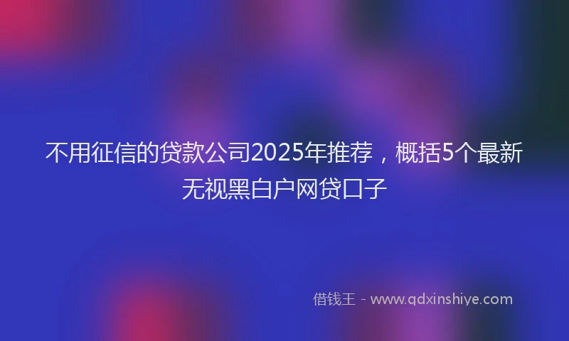 不用征信的贷款公司2025年推荐，概括5个最新无视黑白户网贷口子