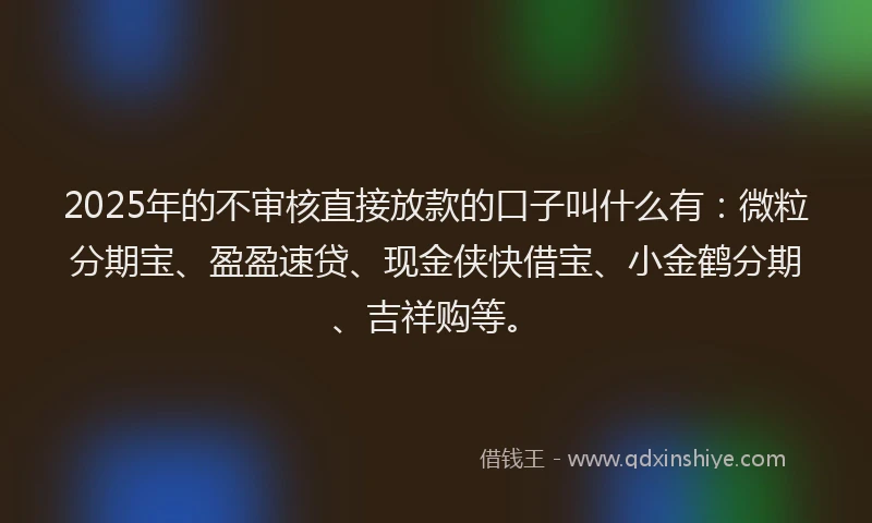 2025年的不审核直接放款的口子叫什么有：微粒分期宝、盈盈速贷、现金侠快借宝、小金鹤分期、吉祥购等。