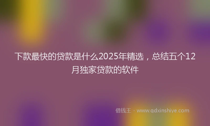 下款最快的贷款是什么2025年精选,总结五个12月独家贷款的软件