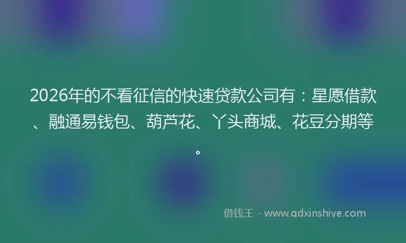 2026年的不看征信的快速贷款公司有:星愿借款、融通易钱包、葫芦花、丫头商城、花豆分期等。