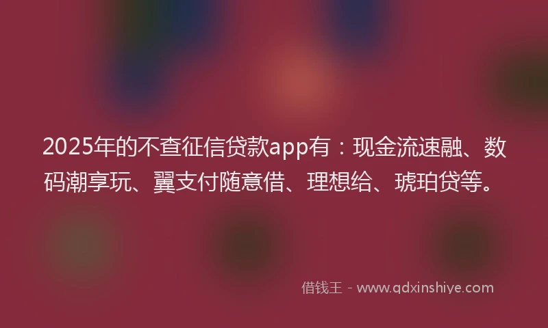 2025年的不查征信贷款app有：现金流速融、数码潮享玩、翼支付随意借、理想给、琥珀贷等。