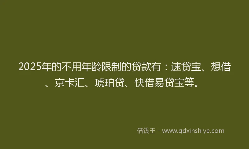 2025年的不用年龄限制的贷款有：速贷宝、想借、京卡汇、琥珀贷、快借易贷宝等。