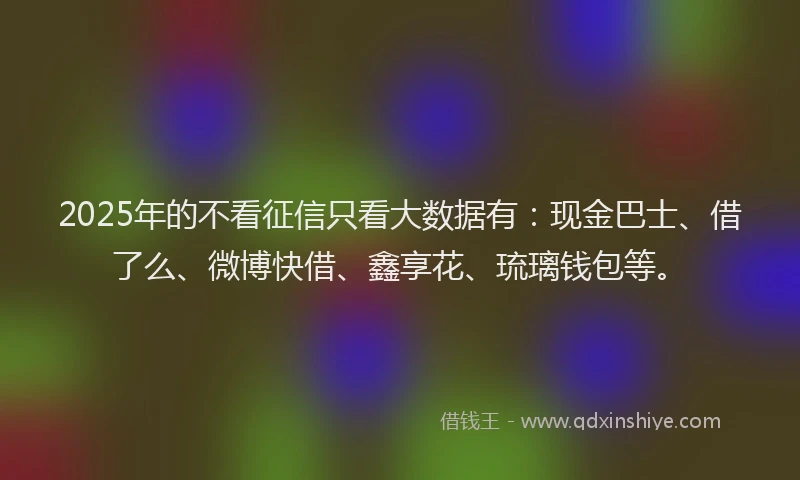 2025年的不看征信只看大数据有：现金巴士、借了么、微博快借、鑫享花、琉璃钱包等。