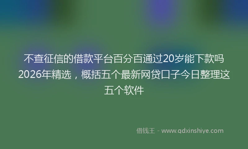 不查征信的借款平台百分百通过20岁能下款吗2026年精选，概括五个最新网贷口子今日整理这五个软件