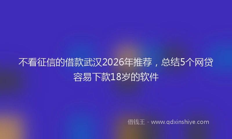 不看征信的借款武汉2026年推荐，总结5个网贷容易下款18岁的软件