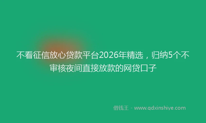 不看征信放心贷款平台2026年精选,归纳5个不审核夜间直接放款的网贷口子