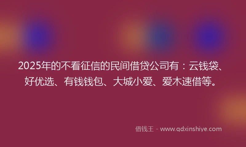 2025年的不看征信的民间借贷公司有：云钱袋、好优选、有钱钱包、大城小爱、爱木速借等。