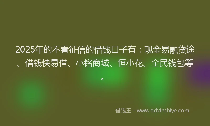 2025年的不看征信的借钱口子有：现金易融贷途、借钱快易借、小铭商城、恒小花、全民钱包等。