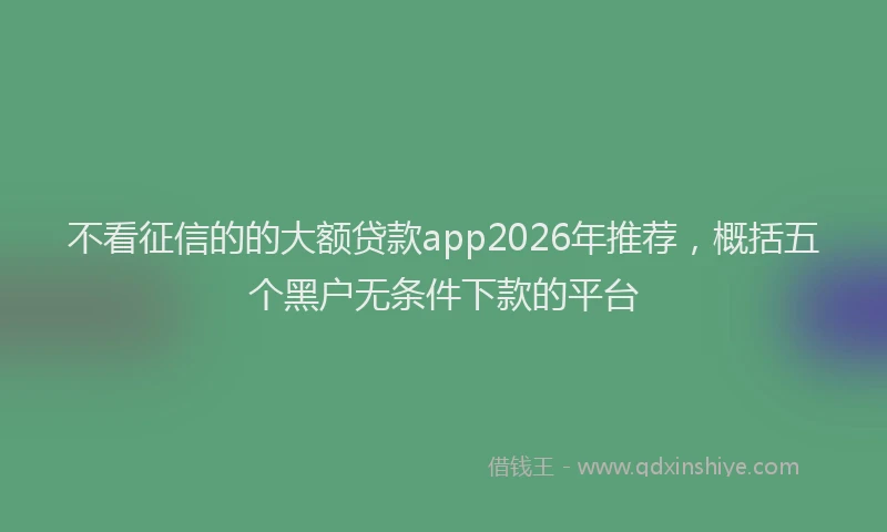 不看征信的的大额贷款app2026年推荐，概括五个黑户无条件下款的平台