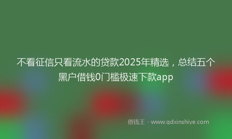 不看征信只看流水的贷款2025年精选，总结五个黑户借钱0门槛极速下款app