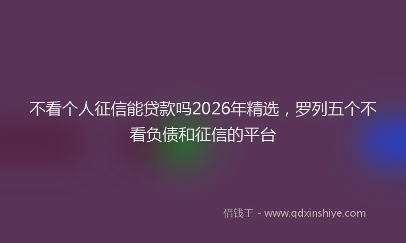 不看个人征信能贷款吗2026年精选，罗列五个不看负债和征信的平台