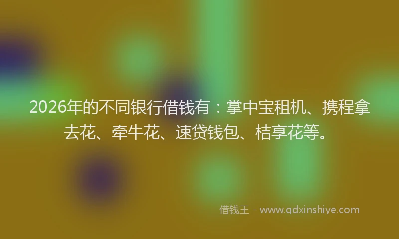 2026年的不同银行借钱有：掌中宝租机、携程拿去花、牵牛花、速贷钱包、桔享花等。