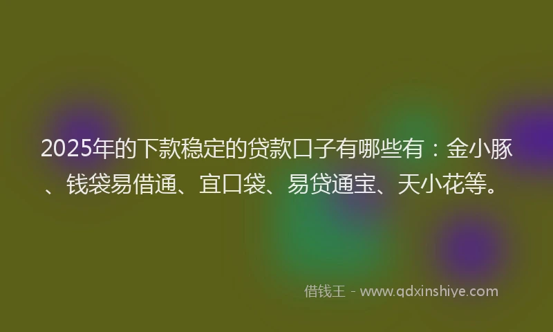 2025年的下款稳定的贷款口子有哪些有:金小豚、钱袋易借通、宜口袋、易贷通宝、天小花等。