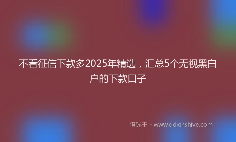 不看征信下款多2025年精选，汇总5个无视黑白户的下款口子