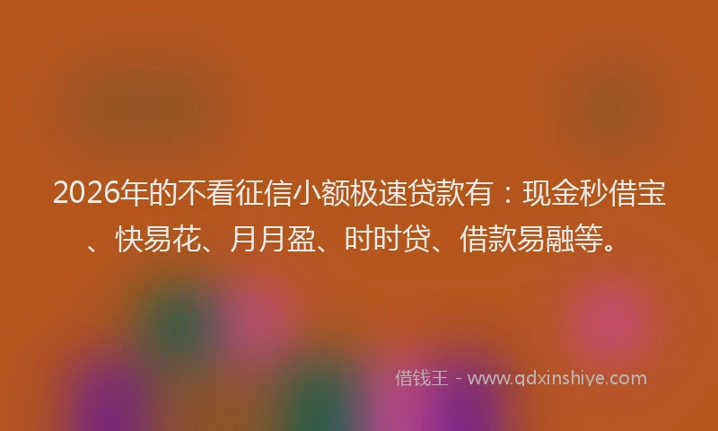 2026年的不看征信小额极速贷款有：现金秒借宝、快易花、月月盈、时时贷、借款易融等。