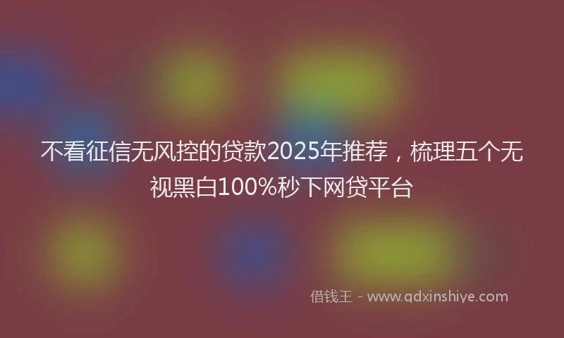 不看征信无风控的贷款2025年推荐，梳理五个无视黑白100%秒下网贷平台