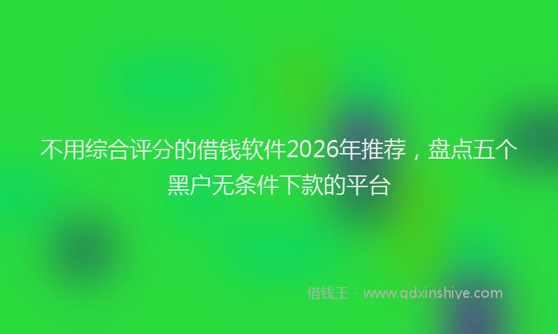 不用综合评分的借钱软件2026年推荐，盘点五个黑户无条件下款的平台