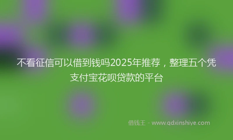 不看征信可以借到钱吗2025年推荐，整理五个凭支付宝花呗贷款的平台
