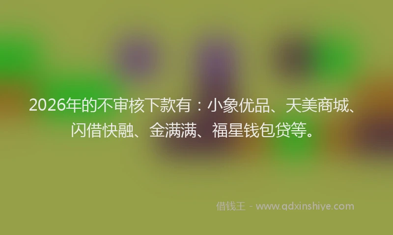 2026年的不审核下款有：小象优品、天美商城、闪借快融、金满满、福星钱包贷等。