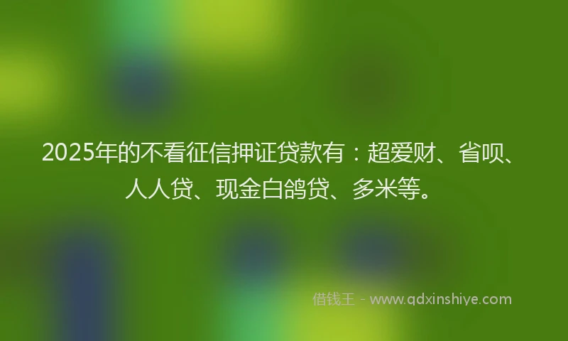 2025年的不看征信押证贷款有:超爱财、省呗、人人贷、现金白鸽贷、多米等。