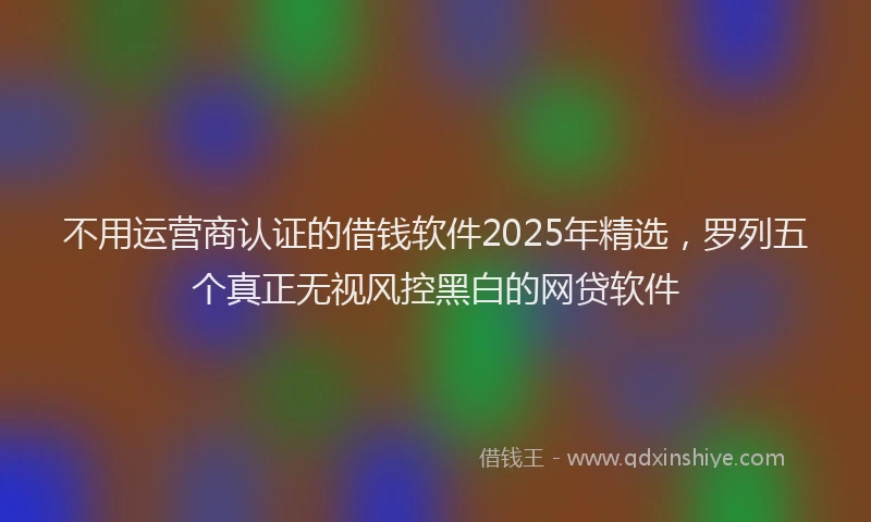 不用运营商认证的借钱软件2025年精选，罗列五个真正无视风控黑白的网贷软件