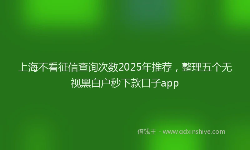 上海不看征信查询次数2025年推荐，整理五个无视黑白户秒下款口子app