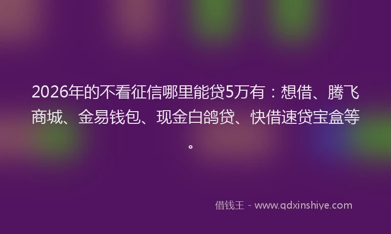2026年的不看征信哪里能贷5万有：想借、腾飞商城、金易钱包、现金白鸽贷、快借速贷宝盒等。