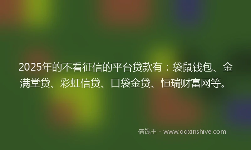 2025年的不看征信的平台贷款有：袋鼠钱包、金满堂贷、彩虹信贷、口袋金贷、恒瑞财富网等。