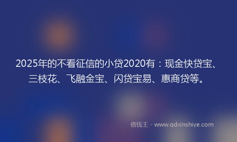 2025年的不看征信的小贷2020有：现金快贷宝、三枝花、飞融金宝、闪贷宝易、惠商贷等。