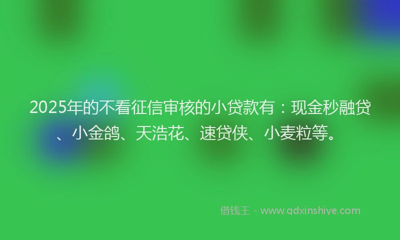 2025年的不看征信审核的小贷款有：现金秒融贷、小金鸽、天浩花、速贷侠、小麦粒等。