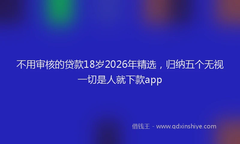 不用审核的贷款18岁2026年精选，归纳五个无视一切是人就下款app