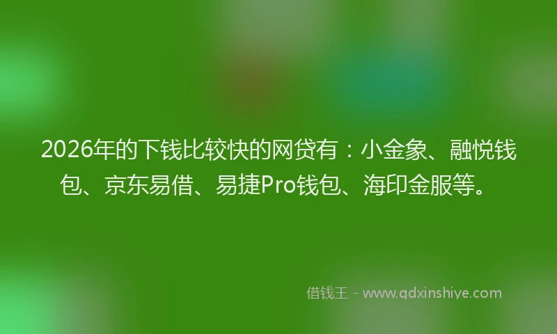 2026年的下钱比较快的网贷有：小金象、融悦钱包、京东易借、易捷Pro钱包、海印金服等。