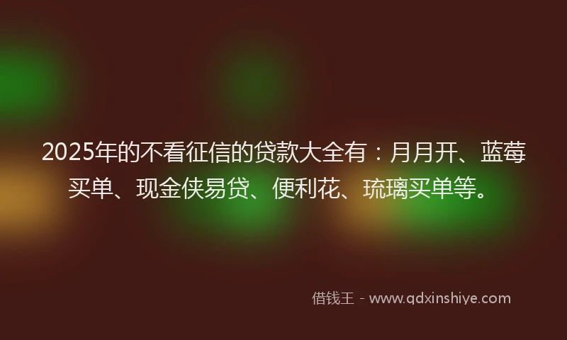 2025年的不看征信的贷款大全有：月月开、蓝莓买单、现金侠易贷、便利花、琉璃买单等。