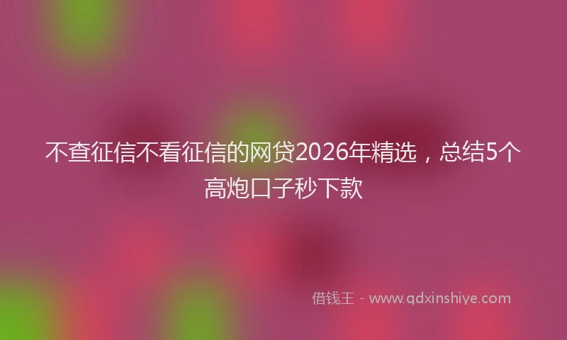 不查征信不看征信的网贷2026年精选，总结5个高炮口子秒下款