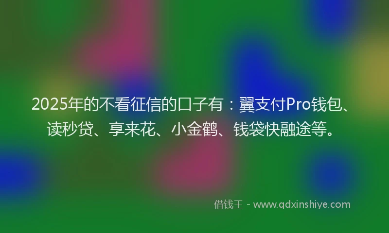 2025年的不看征信的口子有：翼支付Pro钱包、读秒贷、享来花、小金鹤、钱袋快融途等。