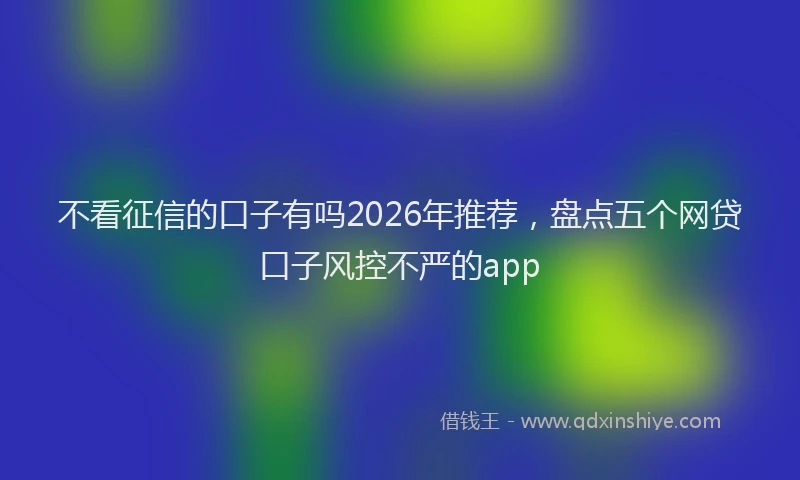 不看征信的口子有吗2026年推荐，盘点五个网贷口子风控不严的app