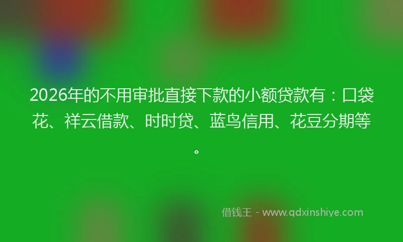 2026年的不用审批直接下款的小额贷款有：口袋花、祥云借款、时时贷、蓝鸟信用、花豆分期等。