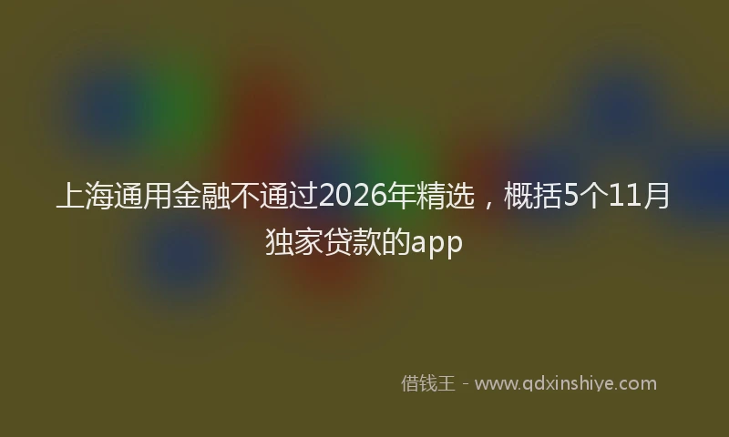 上海通用金融不通过2026年精选，概括5个11月独家贷款的app