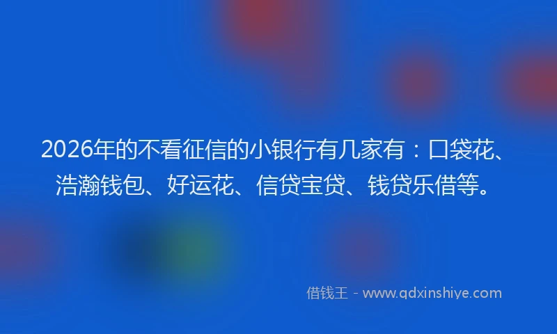 2026年的不看征信的小银行有几家有：口袋花、浩瀚钱包、好运花、信贷宝贷、钱贷乐借等。