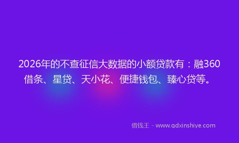 2026年的不查征信大数据的小额贷款有：融360借条、星贷、天小花、便捷钱包、臻心贷等。