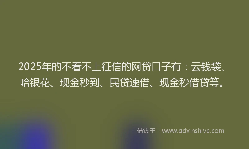 2025年的不看不上征信的网贷口子有：云钱袋、哈银花、现金秒到、民贷速借、现金秒借贷等。