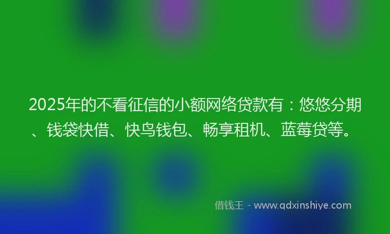 2025年的不看征信的小额网络贷款有：悠悠分期、钱袋快借、快鸟钱包、畅享租机、蓝莓贷等。