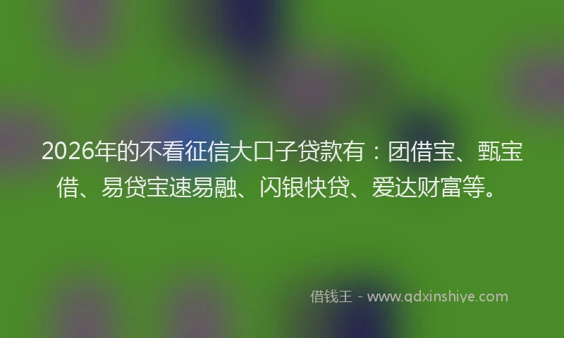 2026年的不看征信大口子贷款有：团借宝、甄宝借、易贷宝速易融、闪银快贷、爱达财富等。