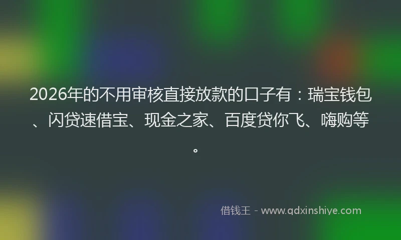 2026年的不用审核直接放款的口子有:瑞宝钱包、闪贷速借宝、现金之家、百度贷你飞、嗨购等。