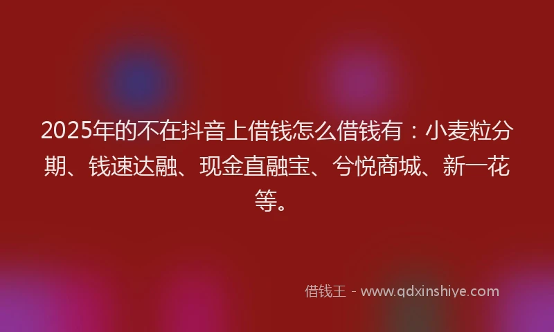 2025年的不在抖音上借钱怎么借钱有：小麦粒分期、钱速达融、现金直融宝、兮悦商城、新一花等。